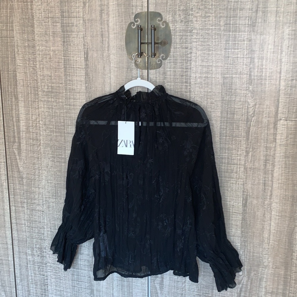 Zara Semi‎ Sheer Embroidered Blouse